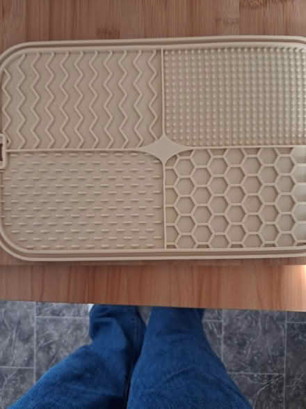 Photo of free Dog Lick mat (South Ockendon RM15) #1