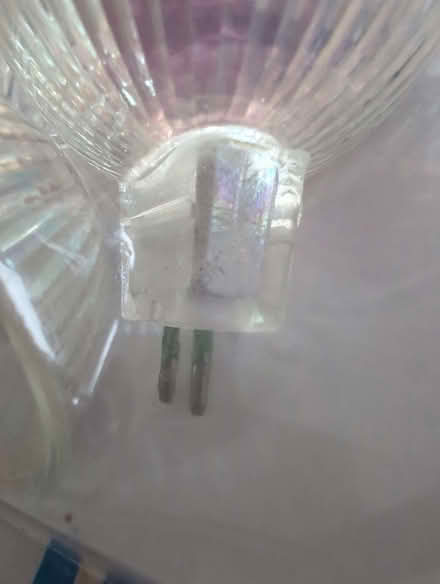 Photo of free 3 brand new halogen bulbs (Wimbledon SW19) #2