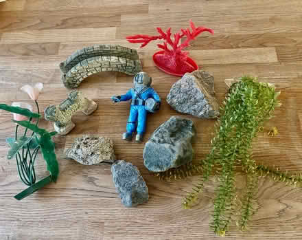 Photo of free Aquarium accessories (Waterlooville PO7) #1
