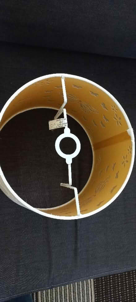 Photo of free Butterfly Lampshade (Polegate BN26) #3