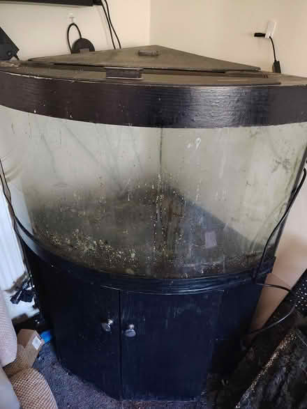 Photo of free Jewel 180 ltr corner aquarium (Portsmouth PO1) #2