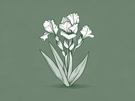 Photo of Bearded irises (Rooksmoor GL5) #1