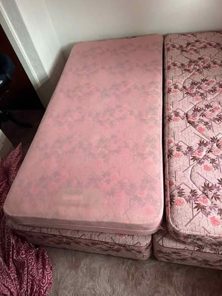 Photo of free Single beds (Broxtowe Ng8 5NL) #4