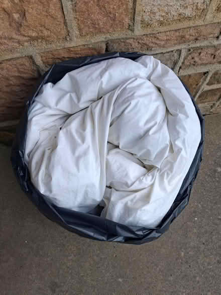 Photo of free Old duvet - dog bed? (Harrogate HG2) #1