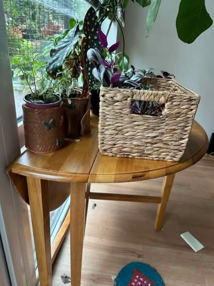 Photo of free Round 30 inch table w. drop sides (University District) #2