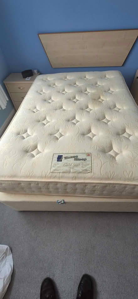 Photo of free high double bed and mattress (Humphrey's End GL5) #1