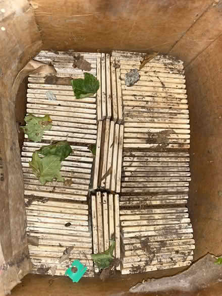 Photo of free 3 Boxes of Beige tiles (North Willow Glen , San Jose) #2