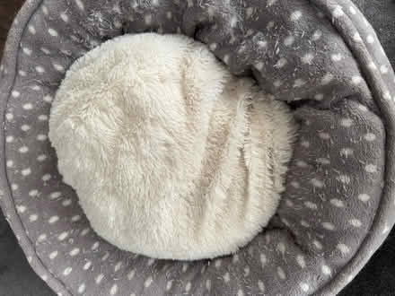 Photo of free Cat bed (Pleasance EH8) #1