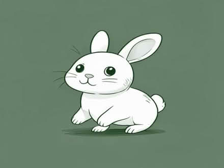 Photo of Rabbit Run (Kimberworth S61) #1