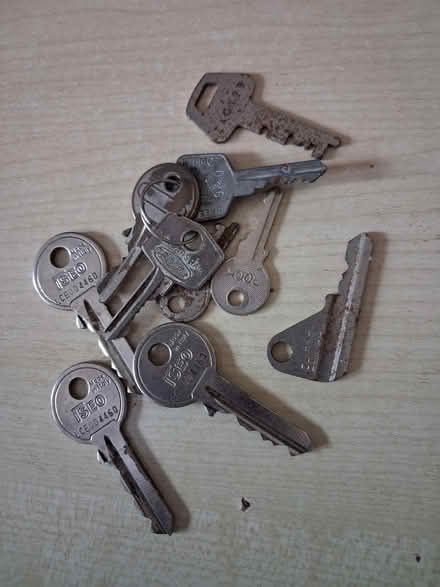 Photo of free Old keys (Felpham PO22) #1