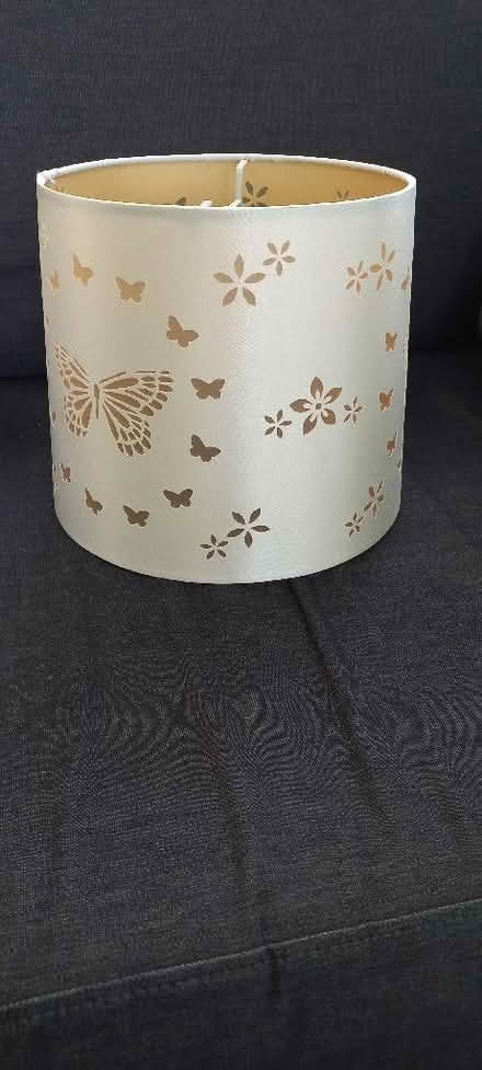 Photo of free Butterfly Lampshade (Polegate BN26) #1