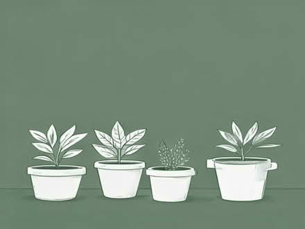 Photo of free Assorted plastic plant pots (Gayton CH60) #1