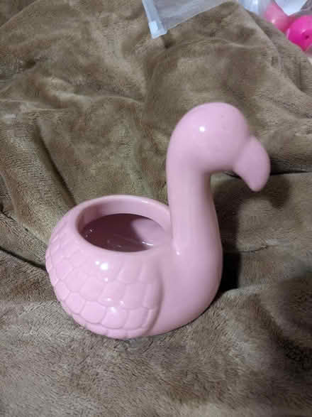 Photo of free Miscellaneous stuff (Park North SN3) #3