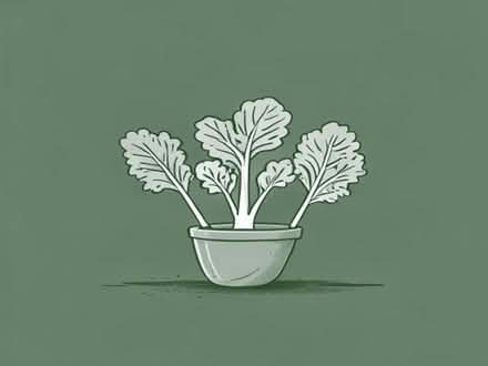 Photo of Vegetable plants (Penrith CA11) #1