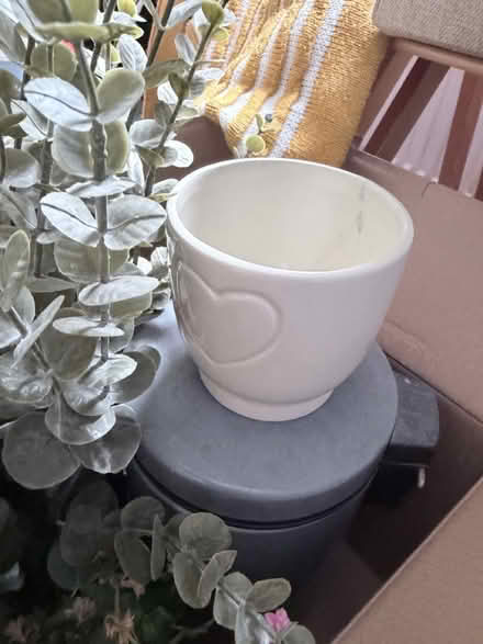 Photo of free 4 plan pots (Collection SW6) #2