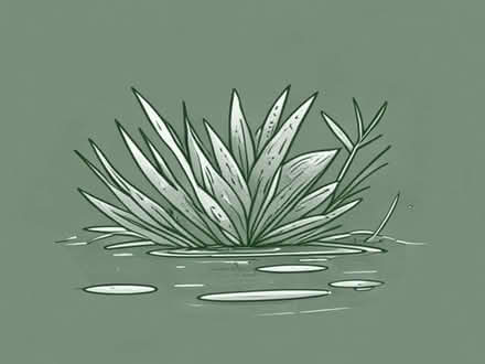 Photo of pond plants (NW5) (Gospel Oak NW5) #1