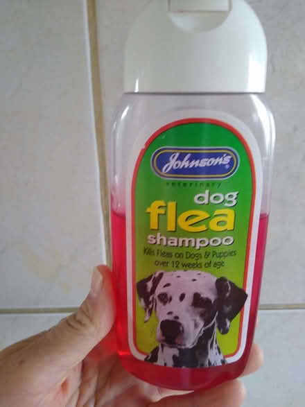 Photo of free Dog Flea Shampoo (Denton DA12) #3