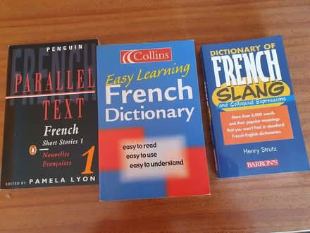 Photo of free French - English dictionaries for learners (Newtown B19) #1
