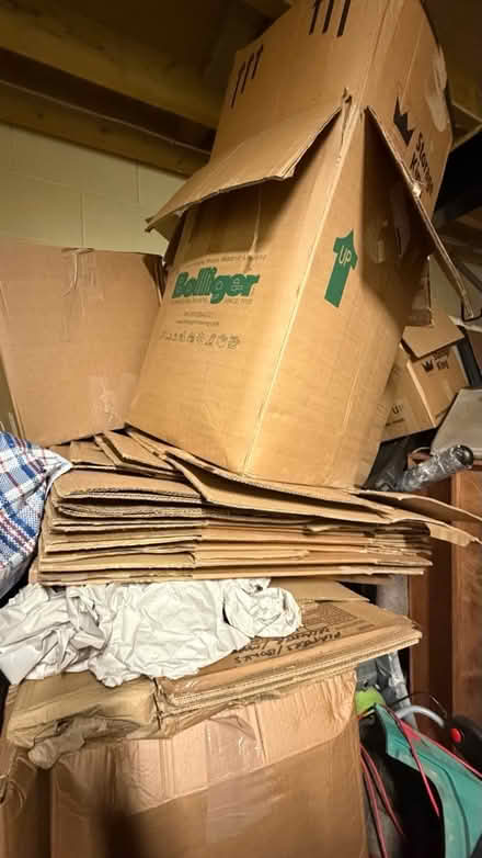 Photo of free Moving boxes (Tonbridge TN11) #2
