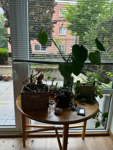 Photo of free Round 30 inch table w. drop sides (University District) #3