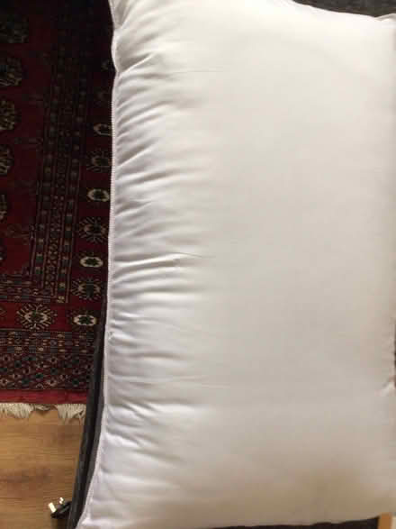 Photo of free Double duvet and Pliocene (Wellington) #1