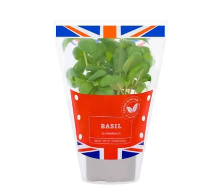 Photo of Basil plants / seeds. (Willesden Green NW10) #1