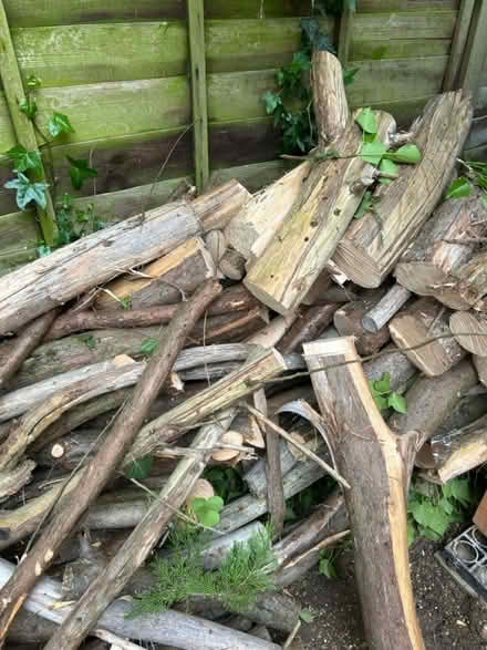 Photo of free Logs for firewood or garden borders (Hemel Hempstead HP3) #1