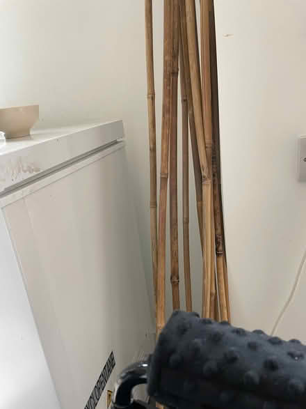 Photo of free Long garden sticks (Wandsworth SW18) #1