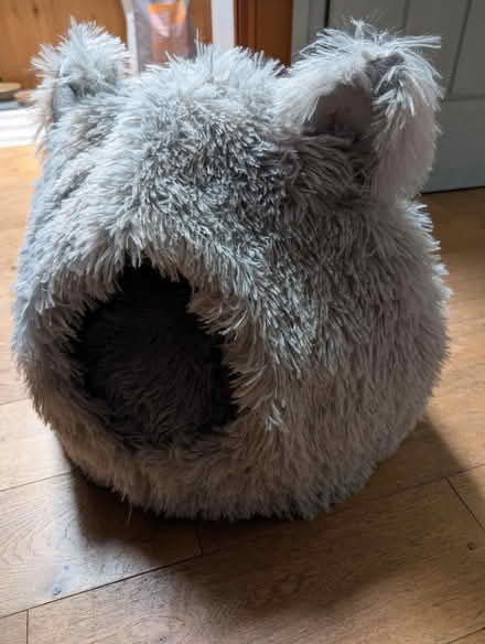 Photo of free Cat bed (Kelynack TR20) #1