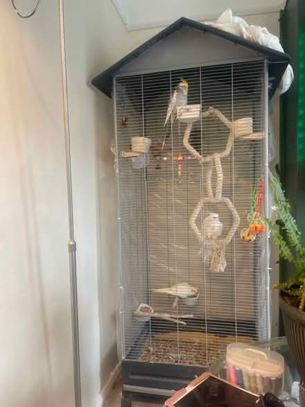 Photo of Bird cage (PO4 Portsmouth) #1