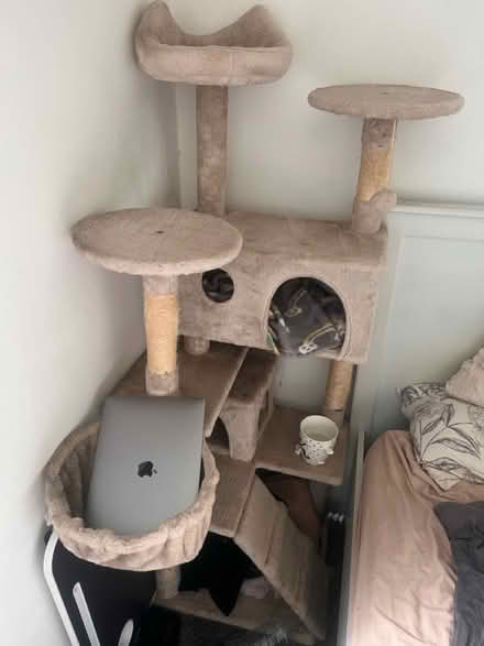 Photo of free Large kitten/cat tree (Stapleford) #1