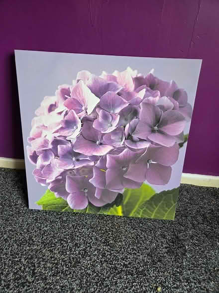 Photo of free Canvas and framed picture (Derby city centre) #2