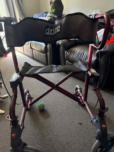 Photo of free Rollator With Seat (CT15) #1