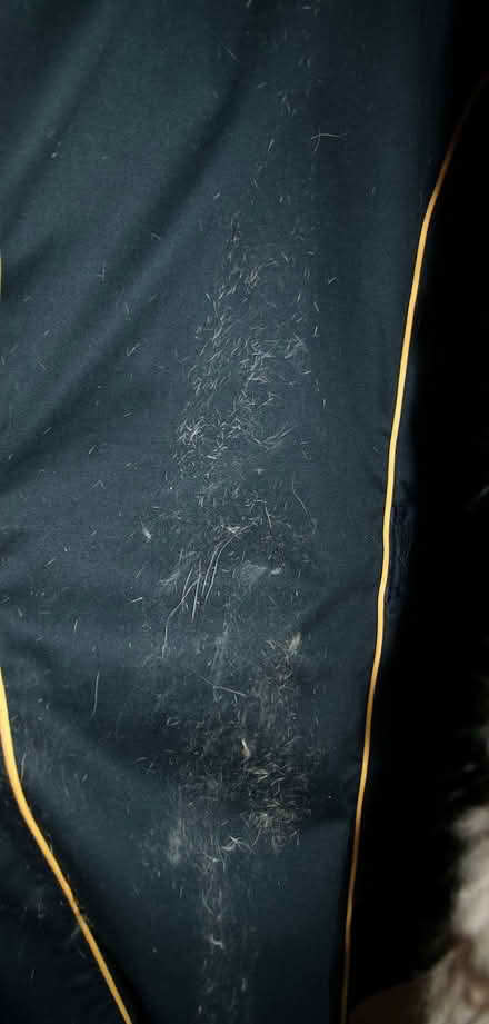 Photo of free Vintage Fur Waistcoat (Knightsfield AL8) #4