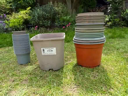 Photo of free Plastic plant pots (Chelmer village CM2) #1