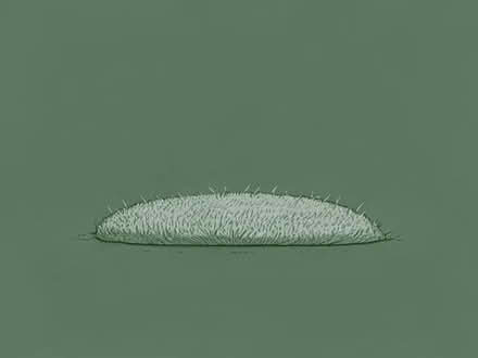 Photo of Lawn turf (real) (Thames Ditton KT7) #1
