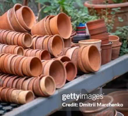 Photo of Medium/large flowerpots & any spare saucers (Seaside BN23) #1