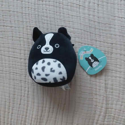 Photo of free Squishmallow Dog plush (Union City) #1