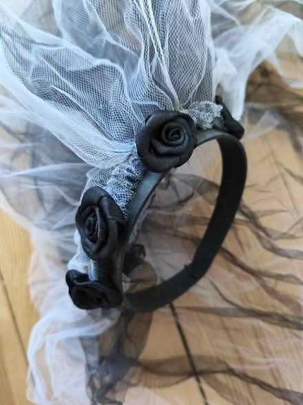 Photo of free Dressing up Alice band veil (Keynsham Memorial Park BS31) #1