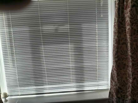 Photo of free Venetian blinds (Lee-on-the-Solent PO13) #2