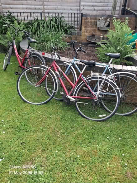 Photo of free Three adult bikes (Chaddesden DE21) #1