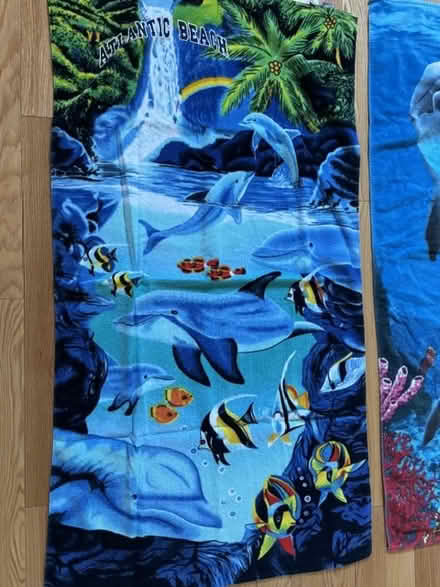 Photo of free Two dolphin-themed beach towels (Orleans) #1