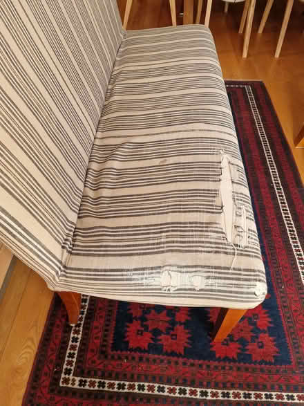 Photo of free Dining chairs and dining bench (North Road BA2) #2