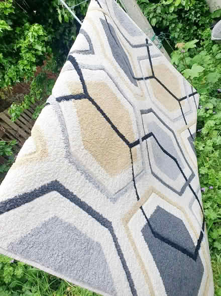 Photo of free rug (sk164qb) #2