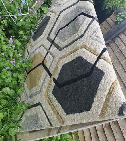 Photo of free rug (sk164qb) #1