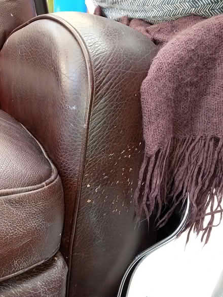 Photo of free Brown leather recliner (Hemel HP2) #2
