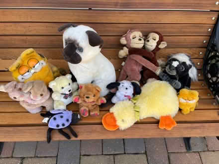 Photo of free Bag full of stuffed animals (Lucas Valley) #1