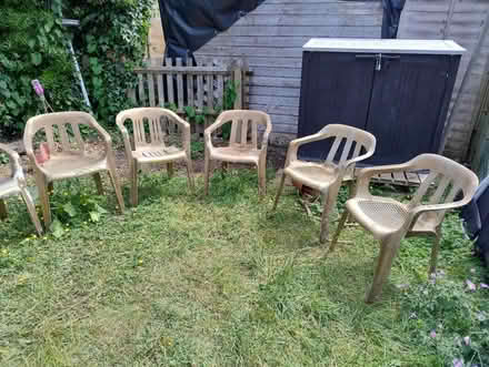 Photo of free 8 Plastic chairs (North Kensington W10) #1