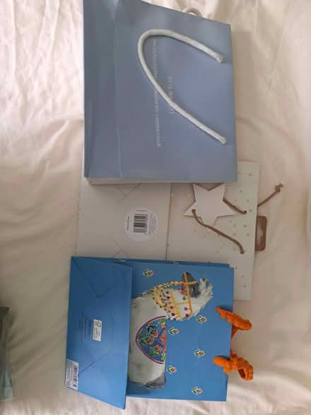 Photo of free Gift Bags (Battle RG30) #1