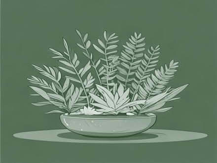 Photo of Live Tropical aquarium plants (Harlow CM20) #1